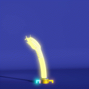 wacky_dude_tubes: 1021