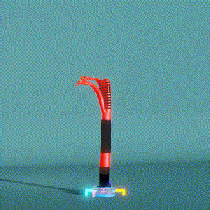 wacky_dude_tubes: 1713