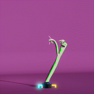 wacky_dude_tubes: 9208