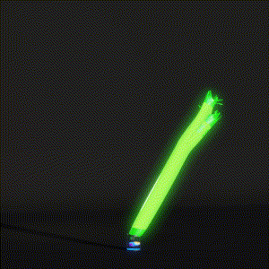 wacky_dude_tubes: 2342