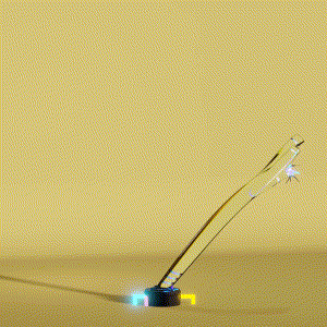 wacky_dude_tubes: 3857