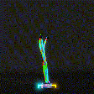 wacky_dude_tubes: 8806
