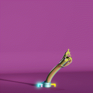 wacky_dude_tubes: 7450