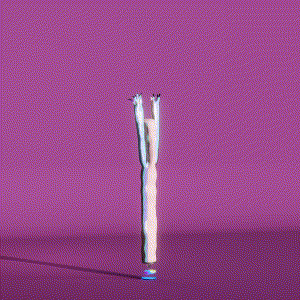 wacky_dude_tubes: 3454