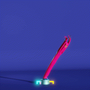 wacky_dude_tubes: 2535