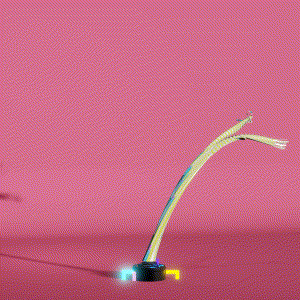 wacky_dude_tubes: 7182