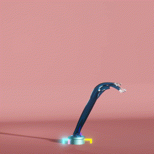 wacky_dude_tubes: 950