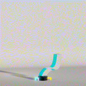 wacky_dude_tubes: 5009