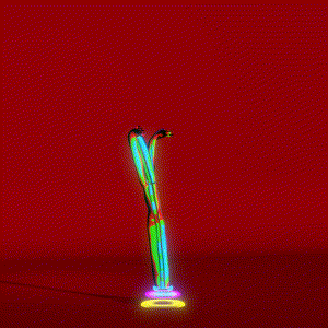 wacky_dude_tubes: 8465