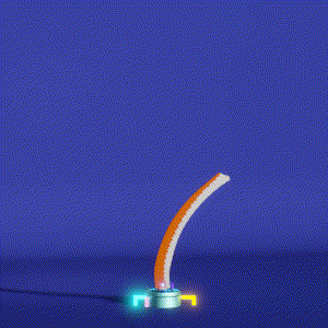 wacky_dude_tubes: 79