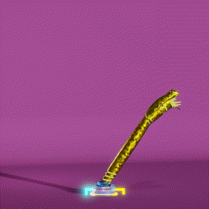 wacky_dude_tubes: 7722