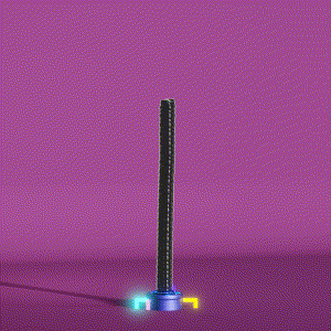 wacky_dude_tubes: 2169