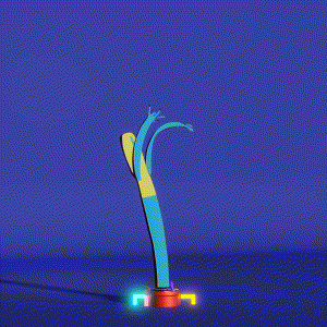 wacky_dude_tubes: 7237