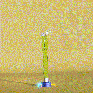 wacky_dude_tubes: 12