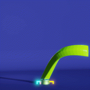 wacky_dude_tubes: 9975
