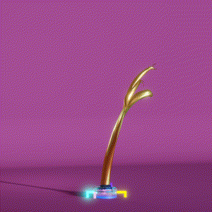 wacky_dude_tubes: 6900
