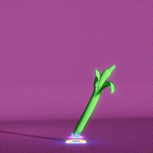 wacky_dude_tubes: 2818