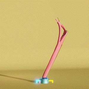 wacky_dude_tubes: 3865
