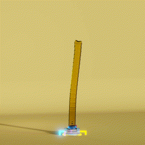 wacky_dude_tubes: 1287