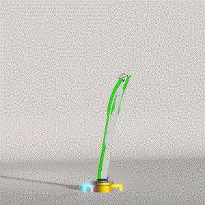 wacky_dude_tubes: 5412