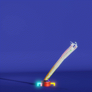 wacky_dude_tubes: 2881
