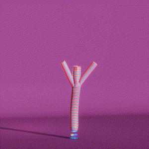 wacky_dude_tubes: 1790