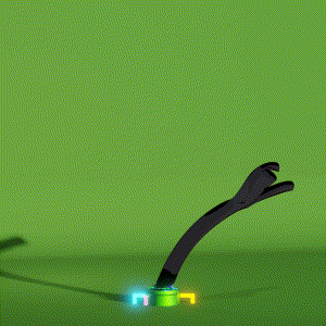 wacky_dude_tubes: 3442