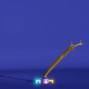 wacky_dude_tubes: 1348