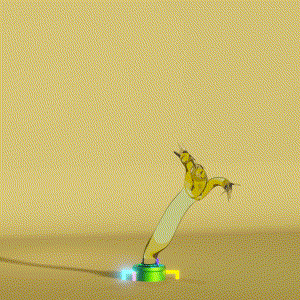 wacky_dude_tubes: 5790