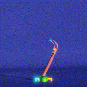 wacky_dude_tubes: 5479