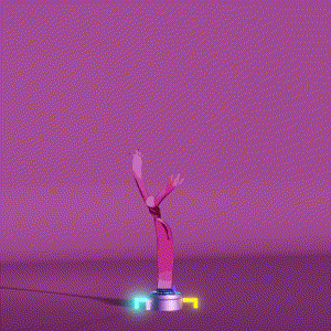 wacky_dude_tubes: 4350