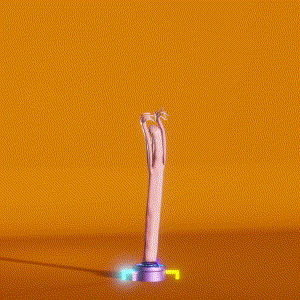 wacky_dude_tubes: 694