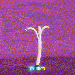 wacky_dude_tubes: 808