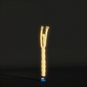 wacky_dude_tubes: 6888