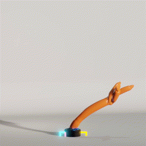 wacky_dude_tubes: 8826