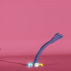 wacky_dude_tubes: 2157