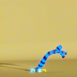 wacky_dude_tubes: 2625