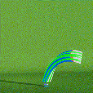wacky_dude_tubes: 3031
