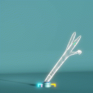 wacky_dude_tubes: 8171