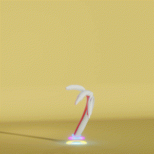 wacky_dude_tubes: 5621