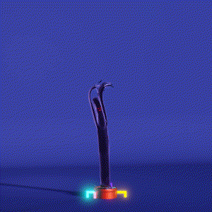wacky_dude_tubes: 7801