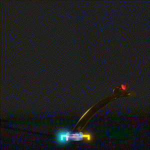 wacky_dude_tubes: 1429