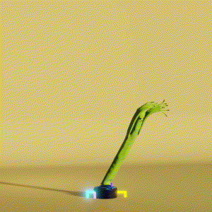 wacky_dude_tubes: 2559