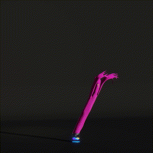wacky_dude_tubes: 7556