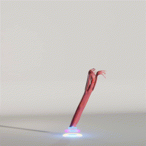 wacky_dude_tubes: 1648