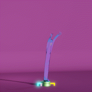 wacky_dude_tubes: 6965