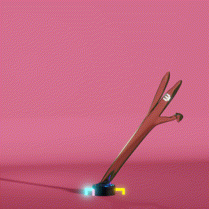 wacky_dude_tubes: 260