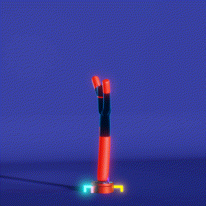 wacky_dude_tubes: 1307