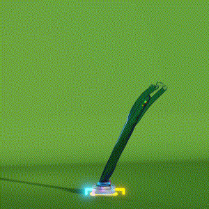 wacky_dude_tubes: 8221