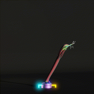 wacky_dude_tubes: 8753